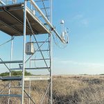 One of the high-tech towers was installed in a cropland wetland and the other on a wetland in a cattle operation.  |  Ducks Unlimited photo