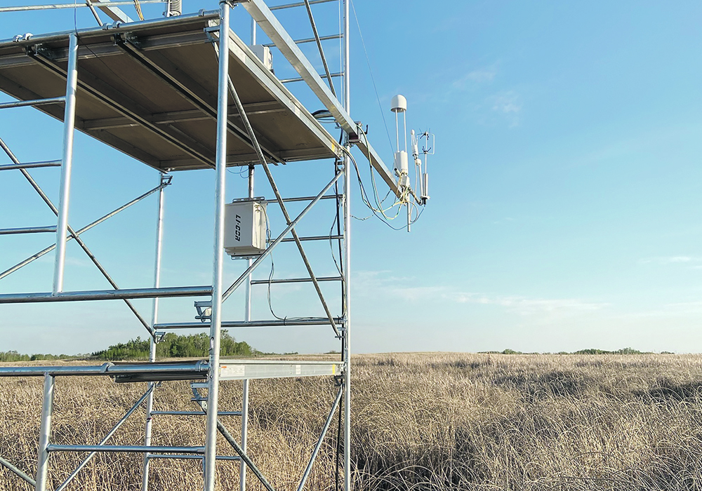 One of the high-tech towers was installed in a cropland wetland and the other on a wetland in a cattle operation.  |  Ducks Unlimited photo