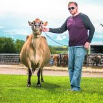 Michael Haeni with one of his family’s dairy cows. | Supplied photo