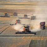 Wheat stocks may not be as high as USDA suggests, says analyst. | file photo
