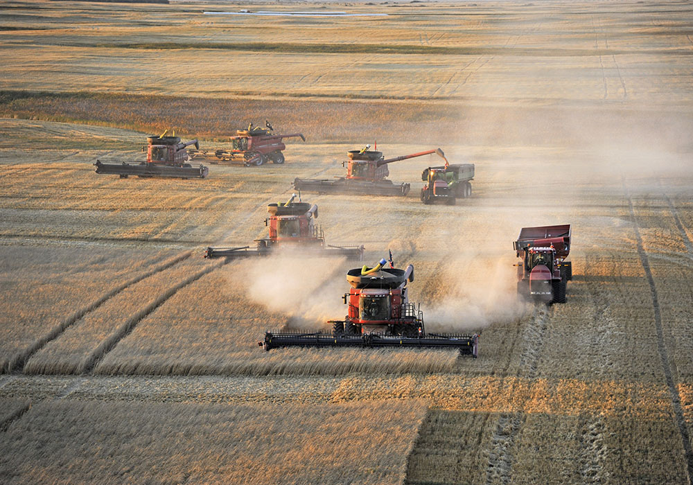 Wheat stocks may not be as high as USDA suggests, says analyst.  |  file photo