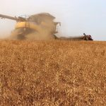 Russia may begin shipping peas to China in the coming years, and that would add competition for Canadian exports. | Robin Booker photo