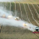 Weather in Russia’s wheat production areas has been favourable and analysts recently raised yield forecasts, one of which would be a new record high. | Reuters/ Eduard Korniyenko photo