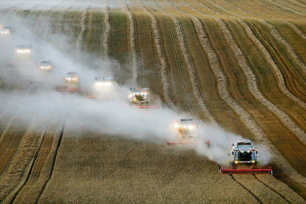 Weather in Russia’s wheat production areas has been favourable and analysts recently raised yield forecasts, one of which would be a new record high.  |  Reuters/ Eduard Korniyenko photo