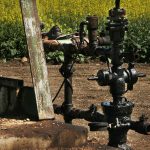 Canola farmers are advised to begin paying closer attention to the intertwined relationship between crops and crude. | Mike Raine photo