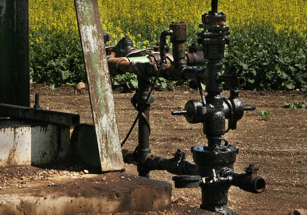 Canola farmers are advised to begin paying closer attention to the intertwined relationship between crops and crude. |  Mike Raine photo