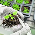 Genome Canada says it will fund interdisciplinary genomics research and innovation projects designed to ensure they translate into solutions. | Getty Images