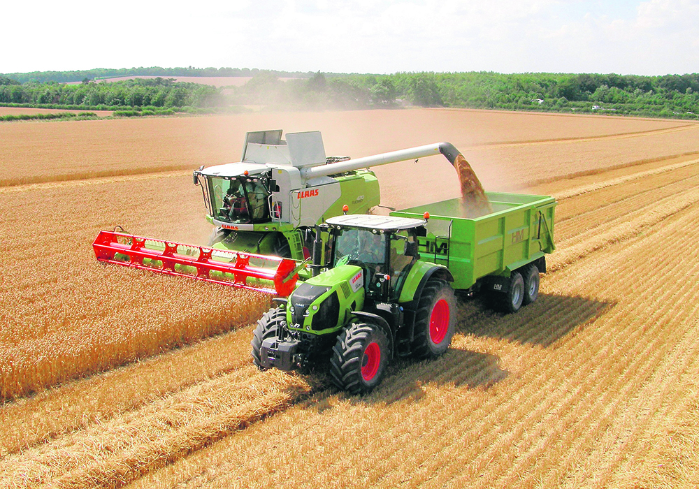 Using gene edited crops in the UK could come fast thanks to new legislation.  |  Chris McCullough photo