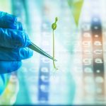 Researchers turn detective as they hunt down genetic answers in attempt to increase yields and protein levels. | Getty Images