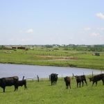 On-farm dugout excavation and trenching (in specific circumstances related to farming), is one of several items now exempted from PST for farmers. | Getty Images