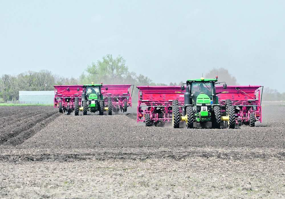 Potatoes are seeded at Hespler Farms near Winkler, Man., late last month. Researchers at Lethbridge College are starting a three-year project to determine the best time to prepare potato fields for seeding.  |  Jeannette Greaves photo