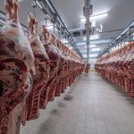The new plant would slaughter around 1,000 more cattle per day than the current top processor, a Tyson's plant in southeastern South Dakota. | Getty Images