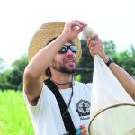 Michael Roswell, a postdoctoral associate in the University of Maryland’s entomology department, works in the field as part of his research into bees’ relationship with plant species. | University of Maryland/James Reilly photo
