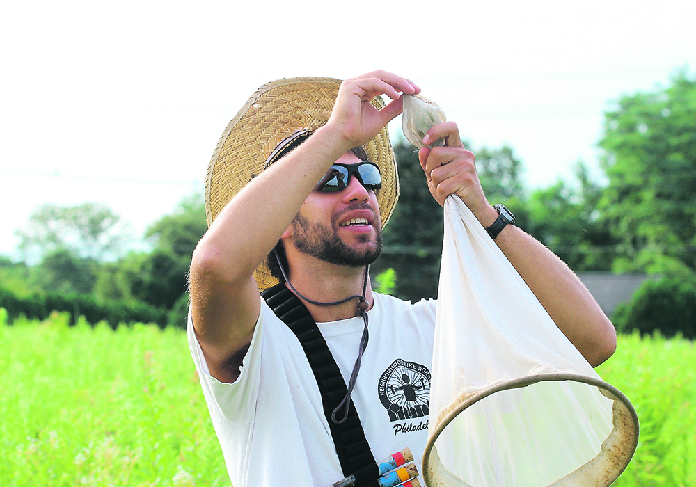 Michael Roswell, a postdoctoral associate in the University of Maryland’s entomology department, works in the field as part of his research into bees’ relationship with plant species.  |  University of Maryland/James Reilly photo