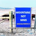 A proposal called A Coal Policy For Alberta — 2022 and Beyond has been supported by groups ranging from Trout Unlimited Canada to the Canadian Association of Physicians for the Environment. | Mike Sturk photo