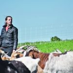 Florentine Maathius looks out over her flock of goats on Wascana Hill last week. | Braedyn Wozniak photo