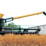Proponents of the sector say it makes sense to build new facilities in Alberta because up to 40 percent of Canadian yellow peas are produced in the province. | File photo