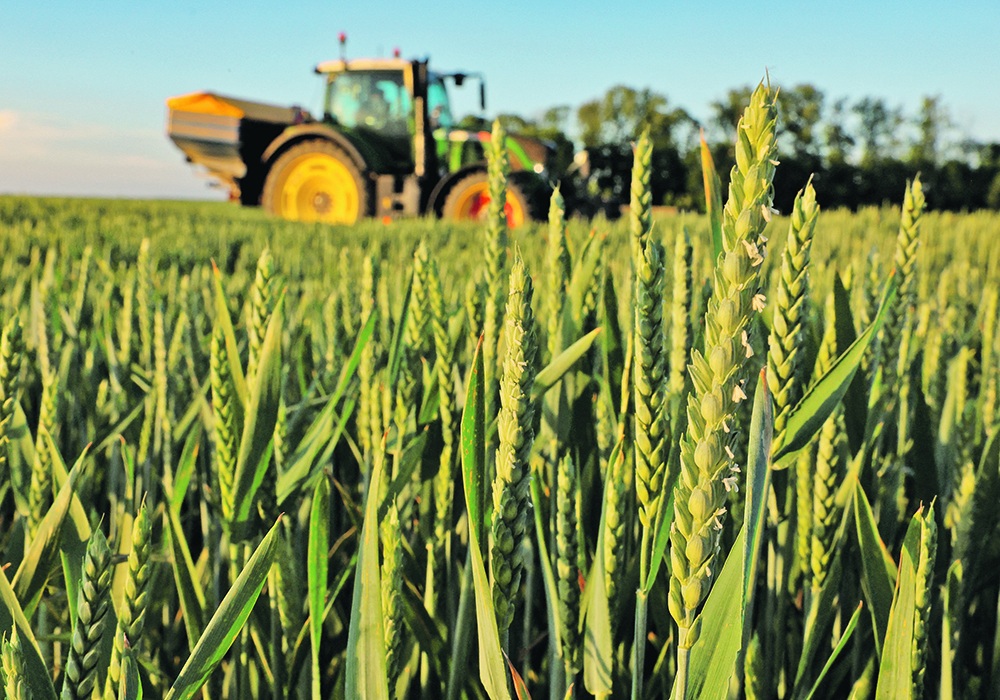 A farmer spreads urea on his wheat field in Inchy-en-Artois, France two weeks ago. Prices for urea have crashed in recent weeks, but it will take time for those reductions to reach farmgates in many places. | Reuters/Pascal Rossignol photo