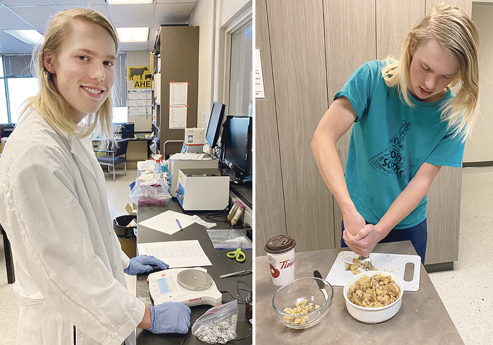 Mark Norregaard weighs metal samples, left, prior to testing the corrosive inhibitors. Norregaard mashes ginger into little pieces for placement in the test tubes for the solution. | Mark Norregaard photos