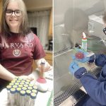 Mac Dykeman, 16, of Langley B.C. found baby chicks have reduced stress when listening to classical music. The young 4-H member won the Canadian Acoustical Association Award and the Challenge Award – Agriculture, fisheries, and Food at the Canada-Wide Science Fair for her project "A Simple, Scalable Method for Reducing Stress in Chicks During the First Seven Days Post Hatch." | Mac Dykeman, Kwantlen Polytechnic University photos