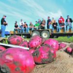 McCain Foods has created the following standards and objectives for farmers who produce potatoes for the company and part of that will include receiving training related to regenerative agriculture. | Robert Arnason photo