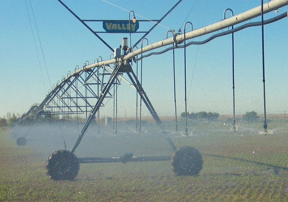 Sugar beets, potatoes and corn crops have been fully seeded across the southern portion of the province for several weeks and they need hotter weather to spur growth. | Screencap via Twitter/@asbg