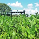 A Solinftec unit watches over a soybean crop. | Solinftec photo