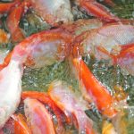 Rex Newkirk, director of the Canadian Feed Research Centre in North Battleford, says with Canada’s relatively small population and large commodity output, he sees aquaculture feed formulations as a large area of opportunity. | Reuters photo