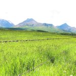 Part of the extensive project is to identify producer management practices that can be used to increase the amount of carbon stored in pasture soils. | Barb Glen photo