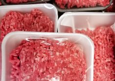 “Canada will be the only jurisdiction in the world placing a health warning label on its ground beef,” said Melanie Wowk, chair of Alberta Beef Producers. “Alberta farmers and ranchers are struggling right now, and our federal government should be supporting our industry in the middle of a global food shortage, not working against it.” | Getty Images
