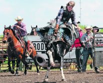 Quinnton Shwaluk of Dauphin, Man., was the season’s leader in the bareback riding event. | Sandy Black photo