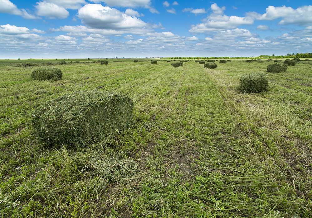 If you see a simple, neat solution to the nitrogen problem, it’s probably wrong. | Getty Images