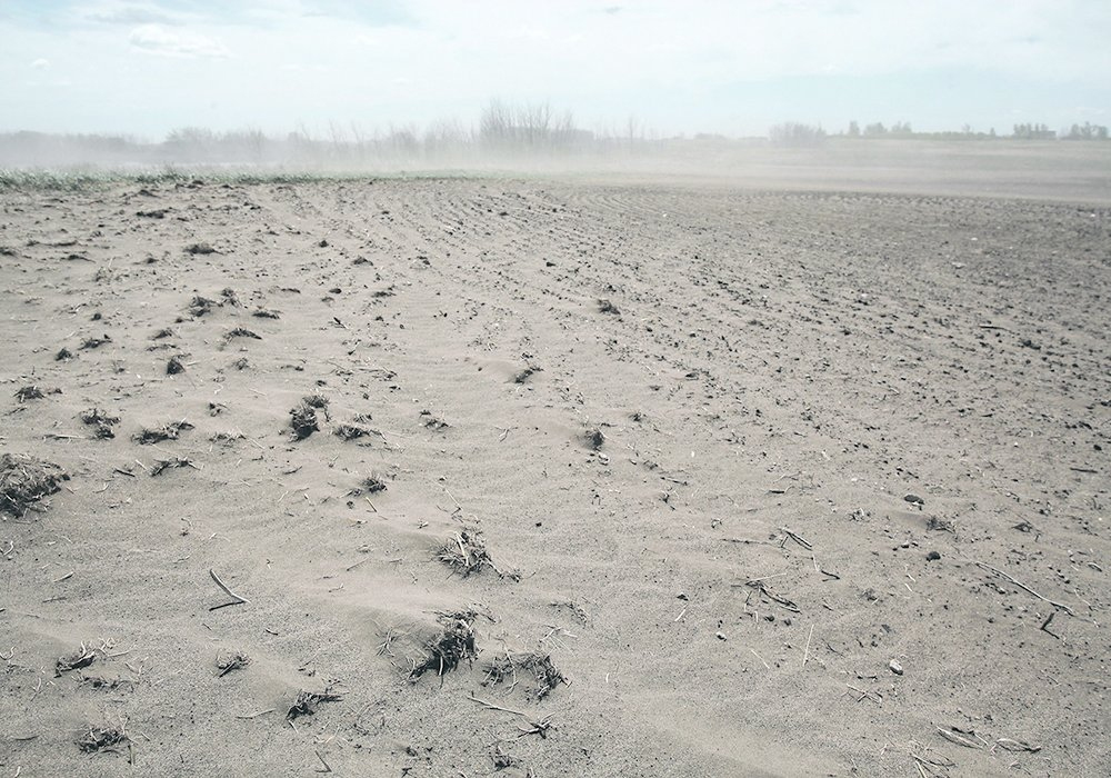 “Right now, it’s all about drought,” NCBA chief executive officer Colin Woodall said at the recent Saskatchewan Stock Growers Association annual meeting. “Unfortunately, it looks like it’s going to be all about drought for some time to come.” | File photo