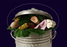 12 commercial and non-commercial businesses have been selected from 343 applicants across Canada and other countries in the federal government’s Food Waste Reduction Challenge business model stream. | Screencap via impact.canada.ca