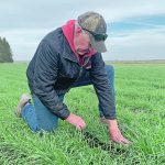"Farmers know their land best, and I think a lot of researchers and individuals who are creating these programs don't always think about the farmer at the end of the day," said Sarah Van Wyngaarden, a graduate research assistant at the University of Alberta's Department of Resource Economics and Environmental Sociology. | File photo