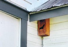 This bat box is placed on the side of the community centre in Yeoford, Alta.  |  Mary MacArthur photo