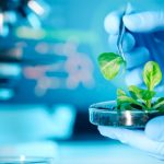 "Genome editing has become very exciting in crop breeding and agriculture," said Caixia Gao of the Institute of Genetics and Developmental Biology at the Chinese Academy of Sciences, during a Gairdner Global Perspectives Panel presentation. | Getty Images