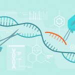 Scientists say CRISPR technology brings great potential to plant breeding but they also acknowledge that developers face potential difficulties once that technology is ready to leave the lab and research plots. | Getty Images