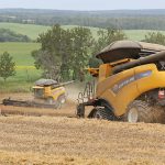 Food price inflation may cause India to rethink import restrictions that have kept Canadian peas out of that market for years. | Robin Booker photo