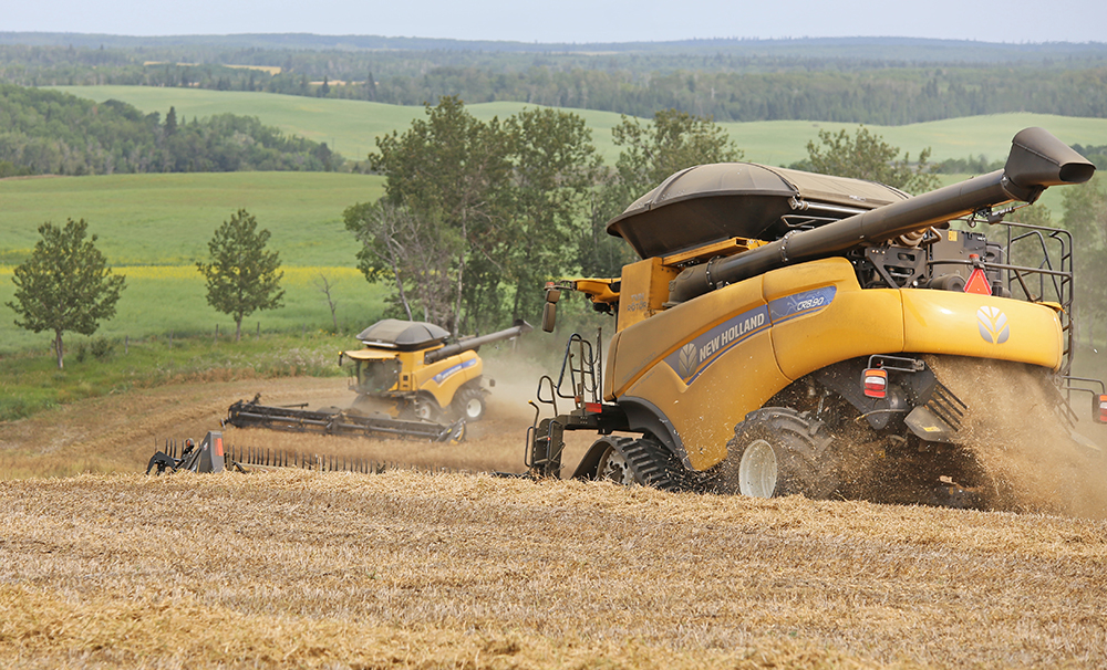 Food price inflation may cause India to rethink import restrictions that have kept Canadian peas out of that market for years. | Robin Booker photo