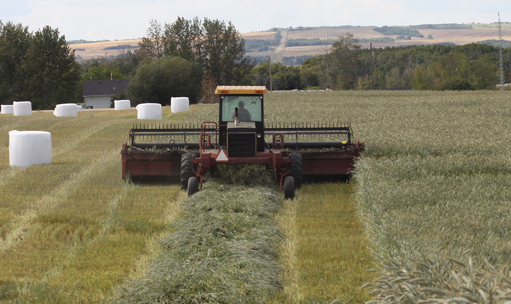 The Farm Technology Program, one CAP program offered in Alberta, supports the adoption of innovative technology that minimizes agricultural waste, optimizes efficiency, and encourages the adoption of best practices in farm security. | File photo