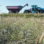 John Stewart, managing partner at D’Arcy and Deacon law firm in Winnipeg, said farmers should be sure to cancel contracts formally in writing. He spoke last week during a webinar presented by the Canadian Canola Growers Association.
| File photo