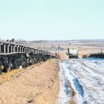 Increased soymeal production is expected to lower prices for distillers grain, but Canadian cattle feeders wonder if increased demand for soybeans could lower U.S. corn acres and raise the price of feed corn. | File photo