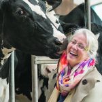 Marina von Keyserlingk, an NSERC Industrial Research Chair in Dairy Cattle Welfare at the University of British Columbia’s Faculty of Land and Food Systems, is leading a long-term study of Holstein cows to define the importance of recognizing personality traits and understanding why some animals are more challenged than others when it comes to coping with perceived stress. | UBC photo