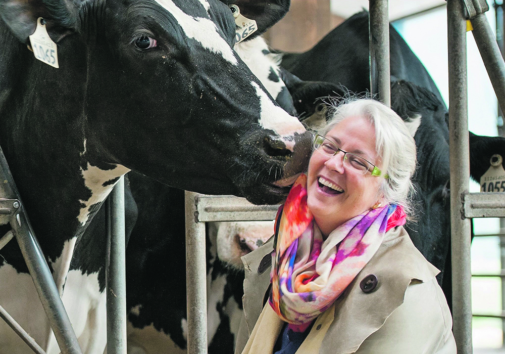 Marina von Keyserlingk, an NSERC Industrial Research Chair in Dairy Cattle Welfare at the University of British Columbia’s Faculty of Land and Food Systems, is leading a long-term study of Holstein cows to define the importance of recognizing personality traits and understanding why some animals are more challenged than others when it comes to coping with perceived stress. | UBC photo