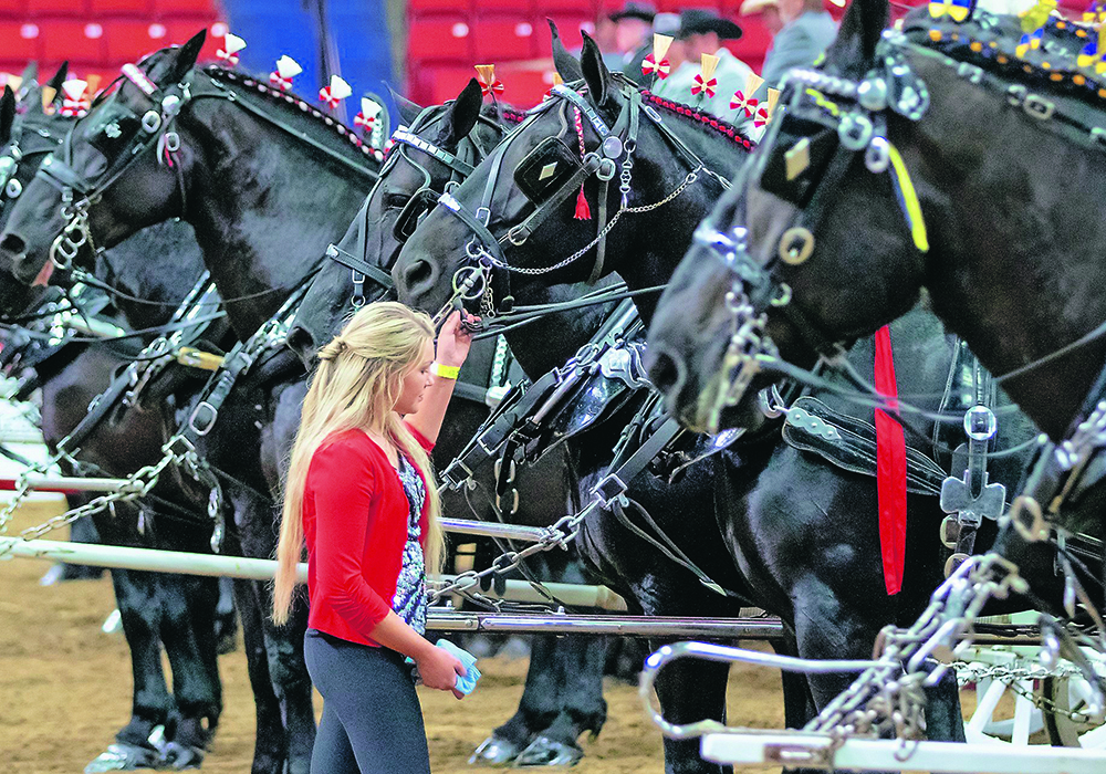 Jayna Locke of Cassopolis, Michigan, tends to Garry Fedore’s team in the senior driver over 65 class. | Sandy Black photo