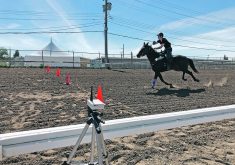 Horses participating in University of Calgary research that hopes to reduce catastrophic injury in chuckwagon horses were run at full speed under different track conditions.  |  Photo courtesy of Calgary Stampede
