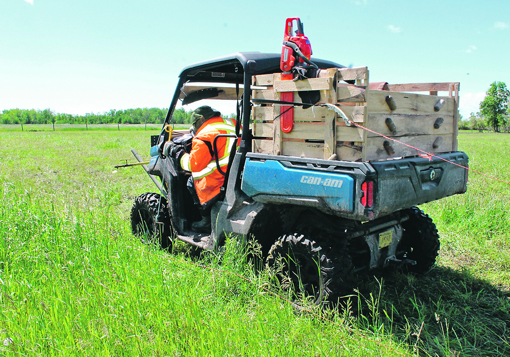 Craig Kaartinen removes electric wire and portable posts after letting the herd into the fresh paddock so that he can create another paddock. | Charlene Kaartinen photo