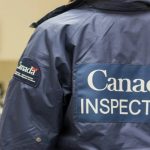 a CFIA inspector