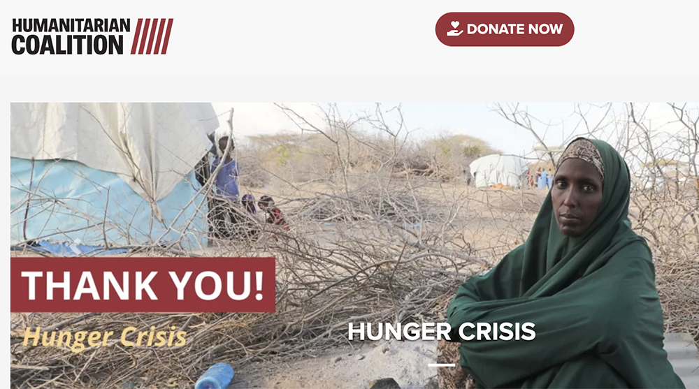 The Canadian Humanitarian Coalition, comprising 12 charity organizations from across the country, has set out to fight the problem. | Screencap via humanitariancoalition.ca